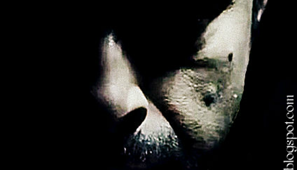 577091_362065083877293_1736847453_n