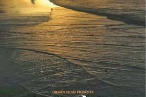 404996_295180233895915_667773816_n