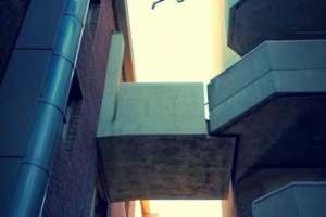 1274805_252469431567559_829721774_o