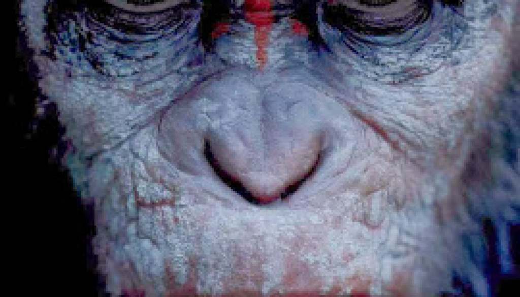 hr_Dawn_of_the_Planet_of_the_Apes_7