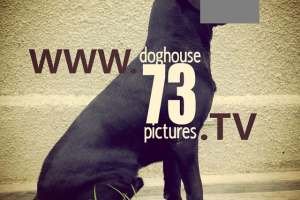 1617849_688141431230789_1707187616_o