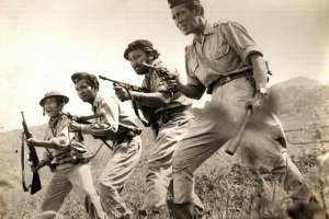 1487761_444708782318937_983570410_o