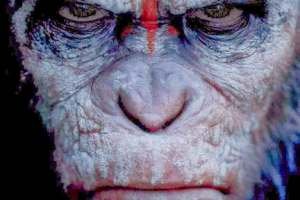 hr_Dawn_of_the_Planet_of_the_Apes_7