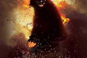 1601536_616033861857216_2833164701508642062_n-thumb-654x960-53238-1