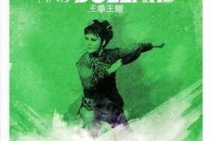 king-of-Fists-and-dollars-dvd-cover