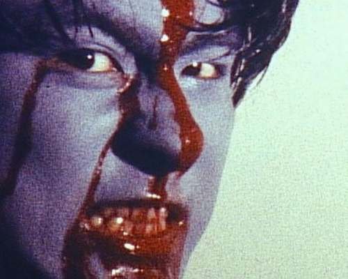 Written by Christina Ortega Phillips