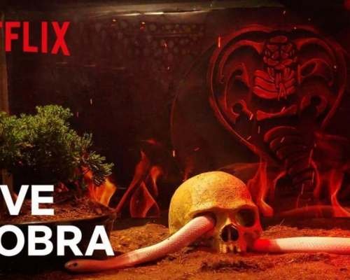 Happy Holidays From The Yule Cobra!