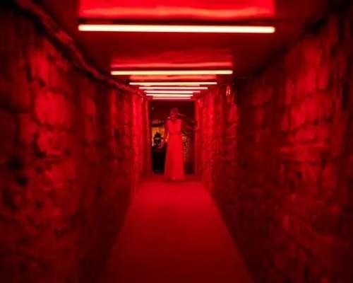 THE FOURTH WALL Directed by Kelsey Bollig