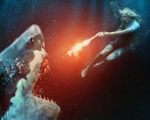 GreatWhite_PosterArt_2000x3000-2
