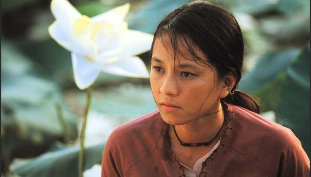 wp-17218340076008395896258760632052