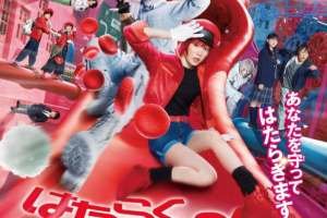 20240916_1806156813745094720982665