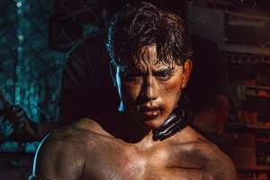 DOMINO (2024) - poster crop