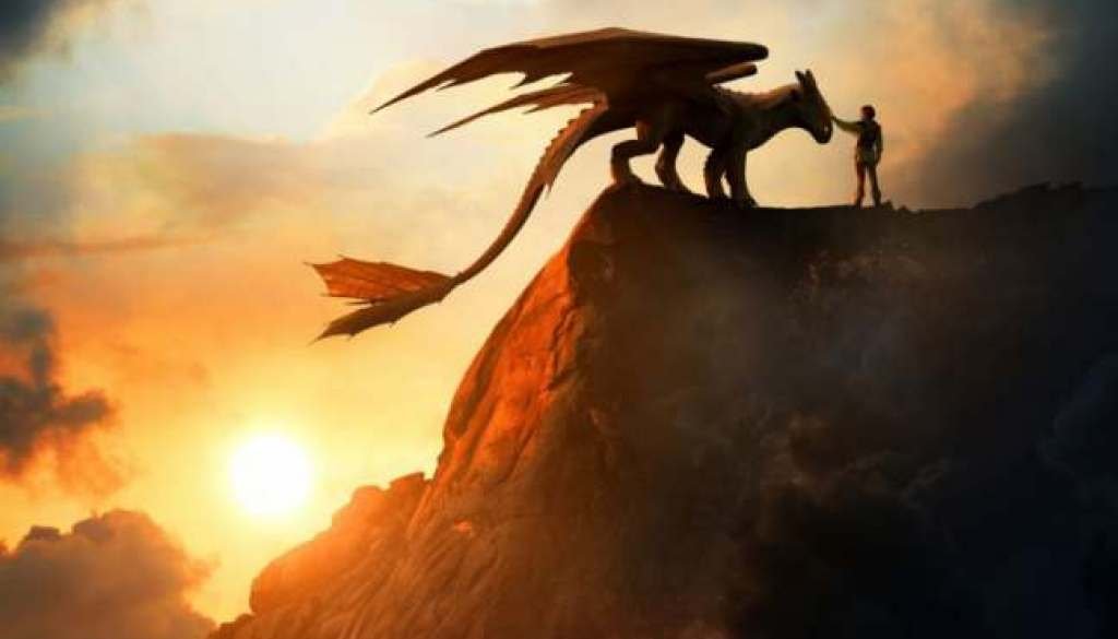 20241119_1418211156173550647079200