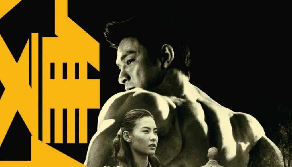 wp-17314264843076018220898763678652