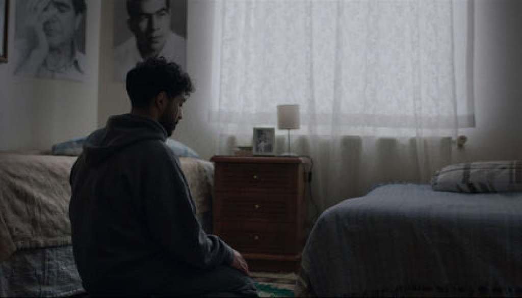 8_1741b392-60b1-4030-abfe-cb1b1d0da7dc_600x600