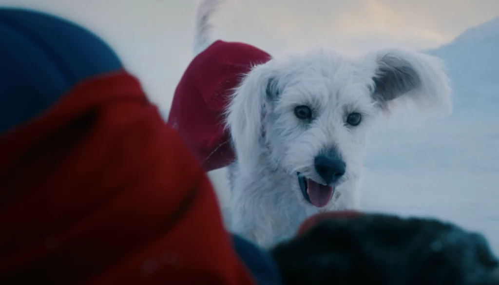 Screenshot-2024-12-19-at-145012