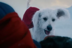 Screenshot-2024-12-19-at-145012