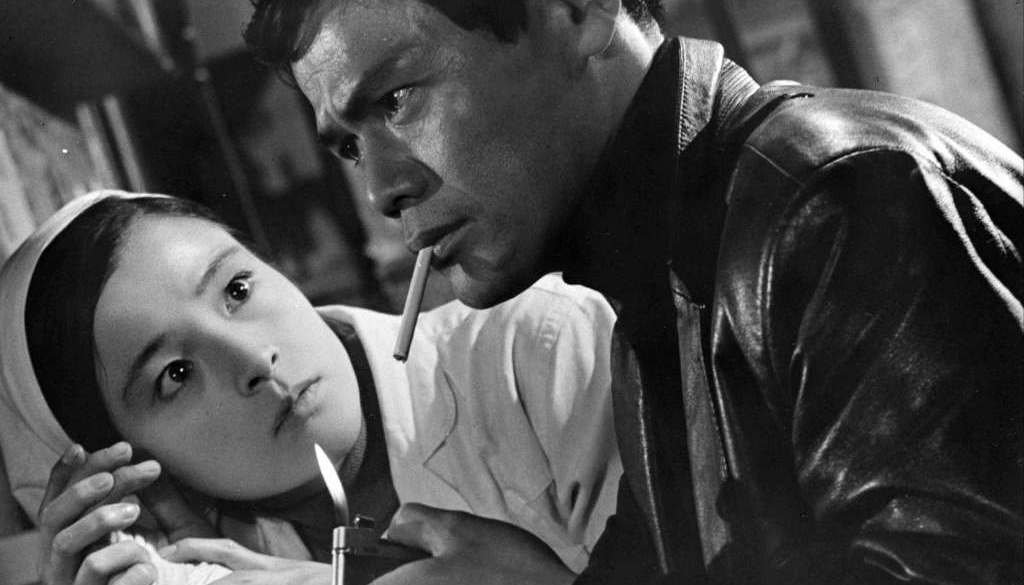 wp-17345376935518145587763317936406