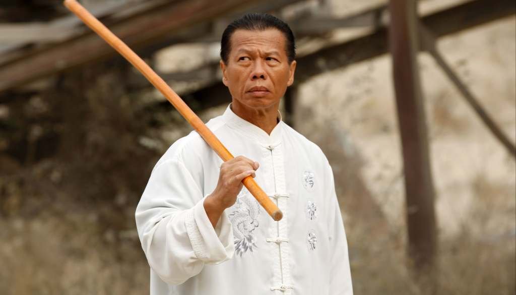 wp-17355952139987998974021269188986