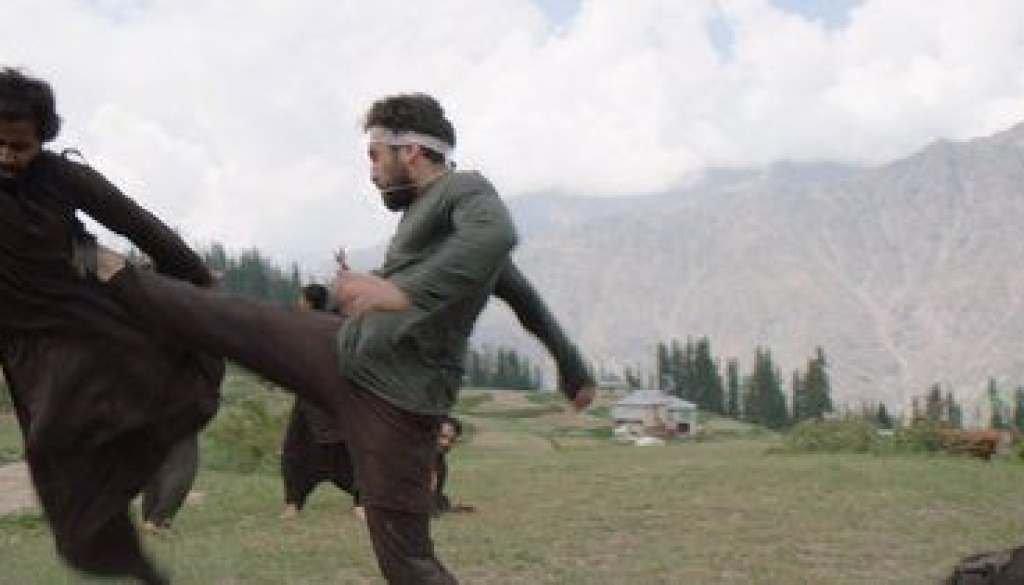 wp-17368749300124149592389033333262