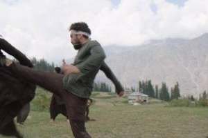 wp-17368749300124149592389033333262