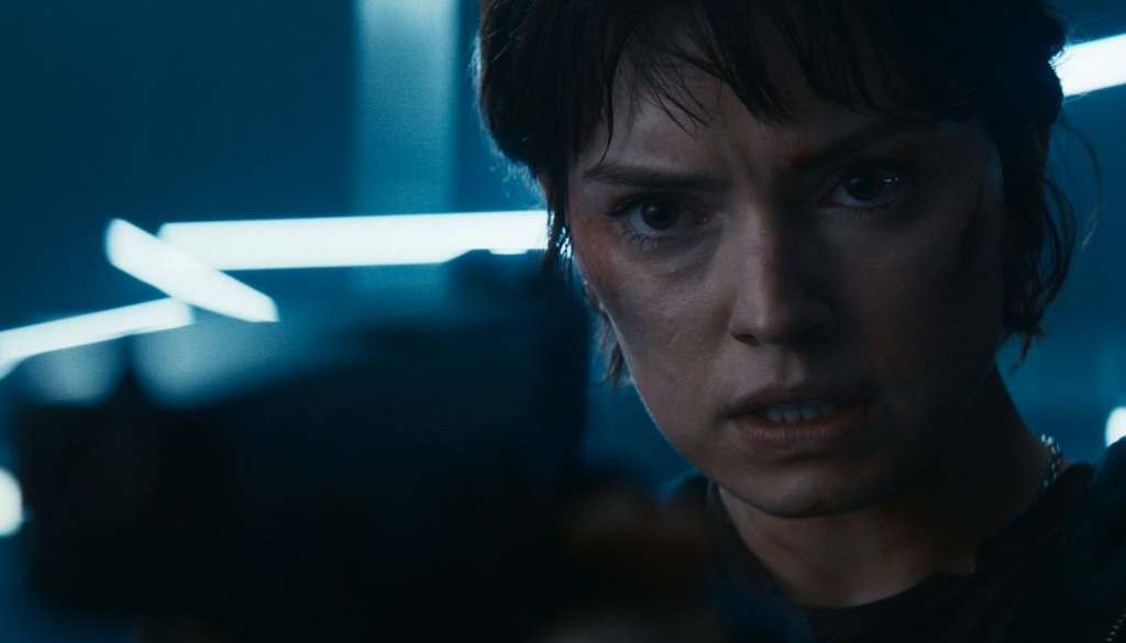 wp-17378583443541863887506105644159