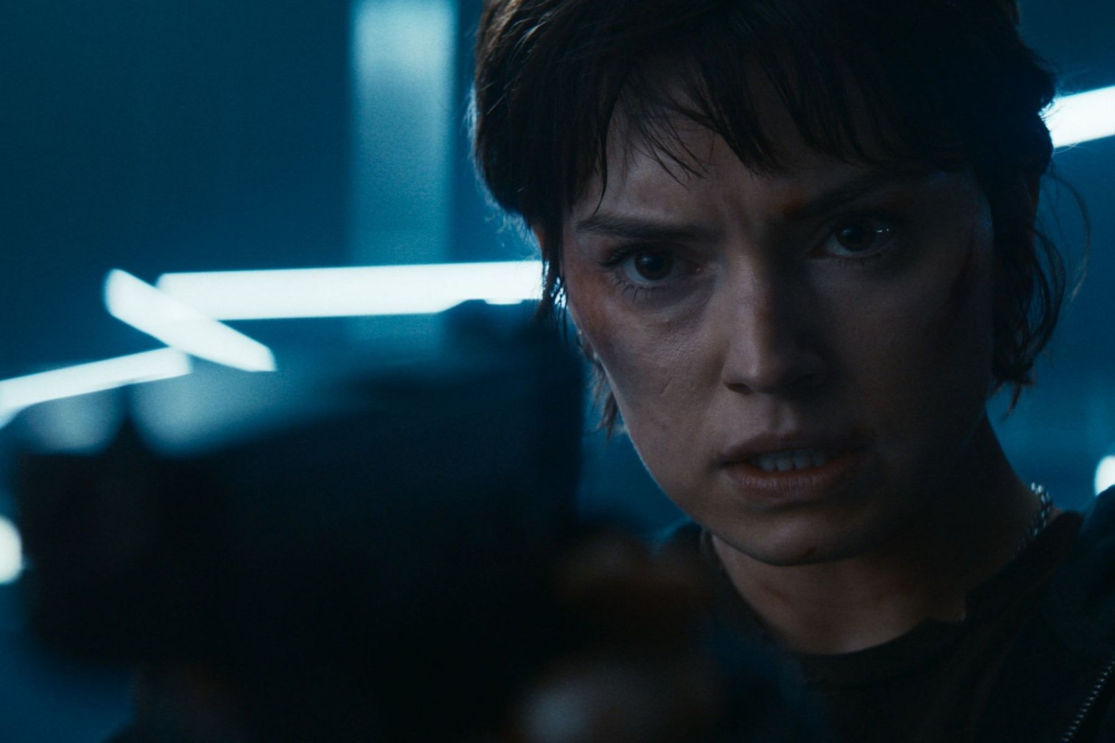 wp-17378583443541863887506105644159