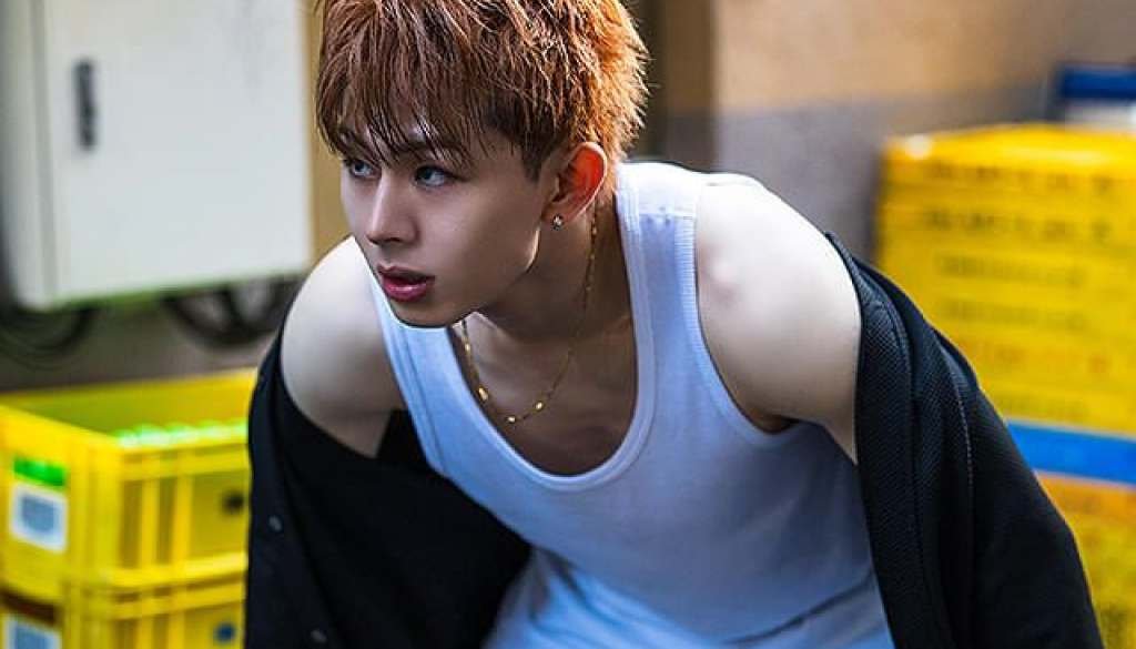 wp-17386250001476744276602352957219