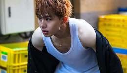 wp-17386250001476744276602352957219