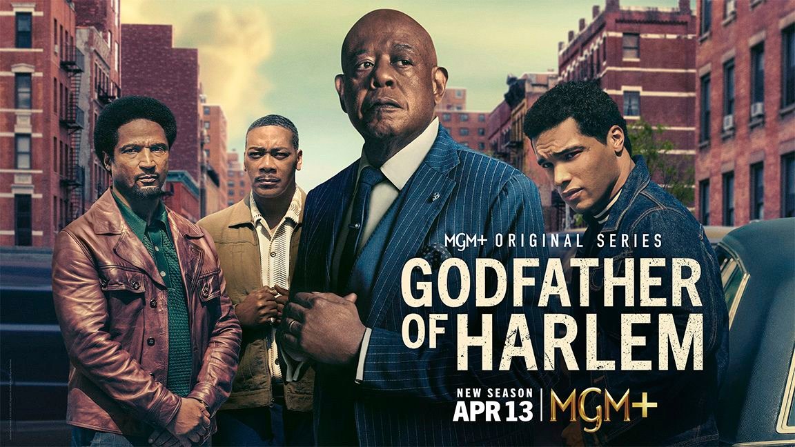 wp-17417228067303402327413062569392