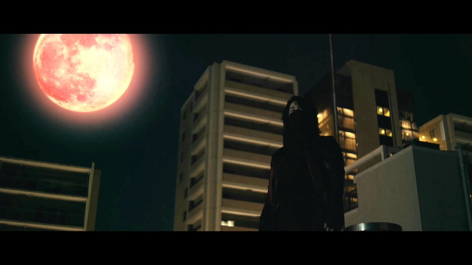 wp-17424204578841729981431401376961