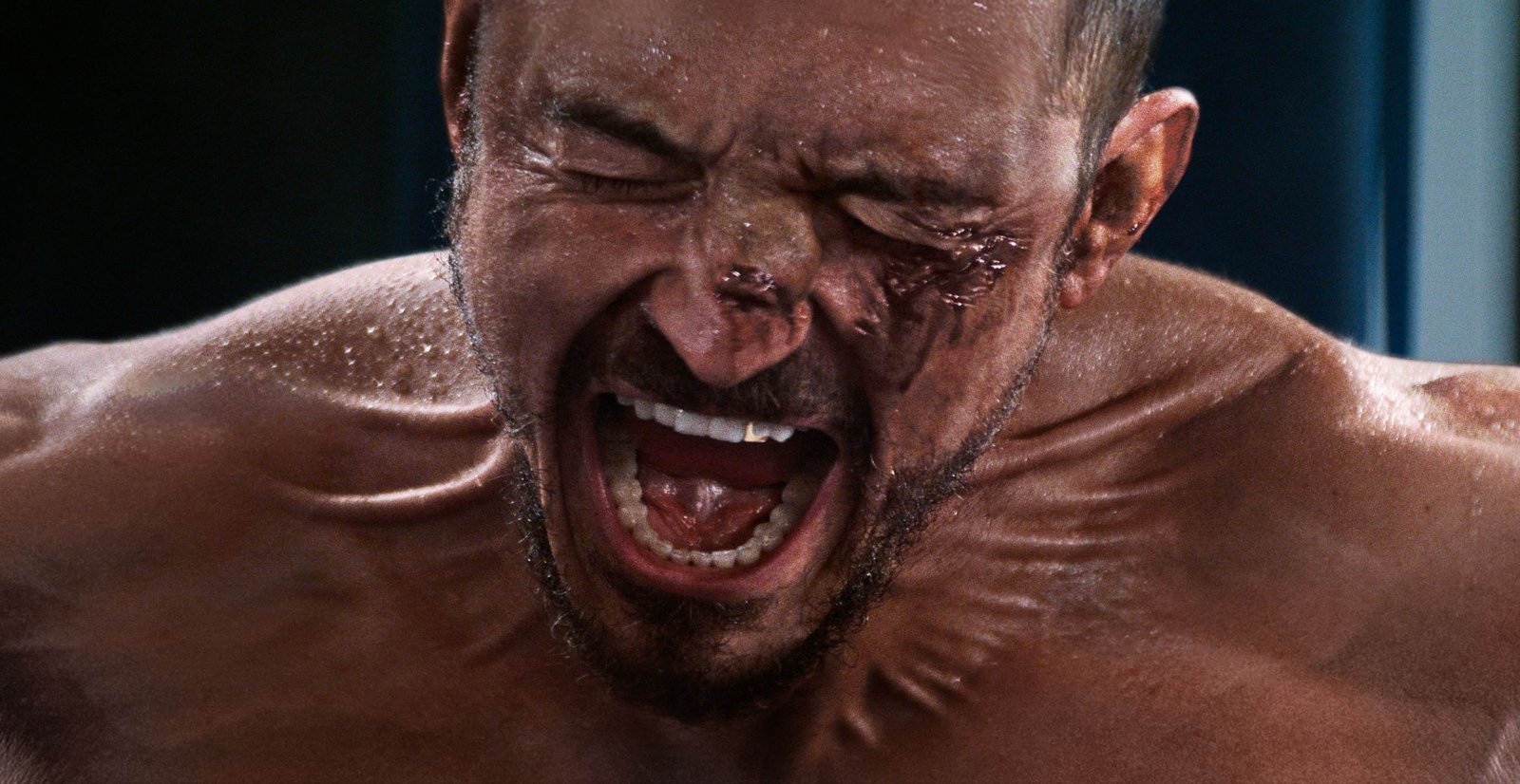 wp-17545158991236590595907110706649