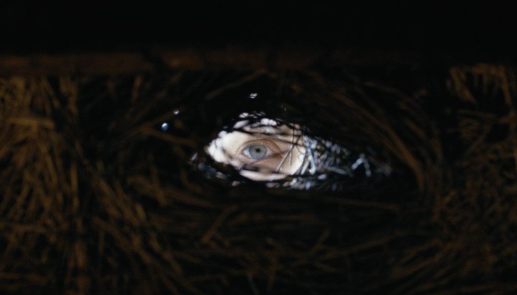 Shaman-1340x754-5jpg