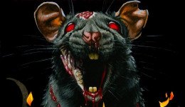 BHFF 2025 poster (cropped)