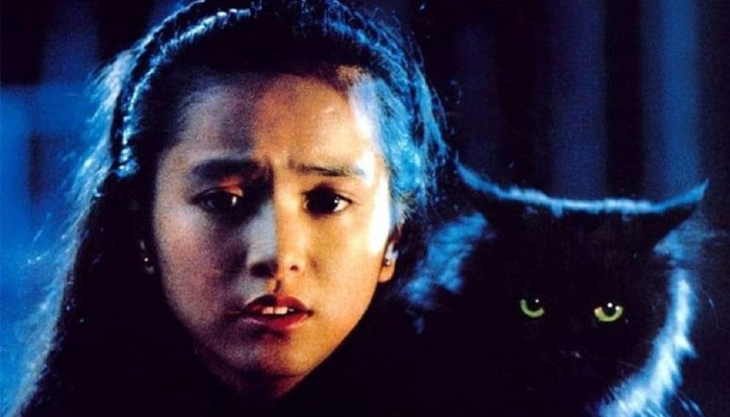 wp-17579550774082899953624856131723jpg