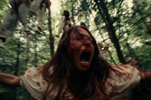 wp-17590036548504996689323922643305