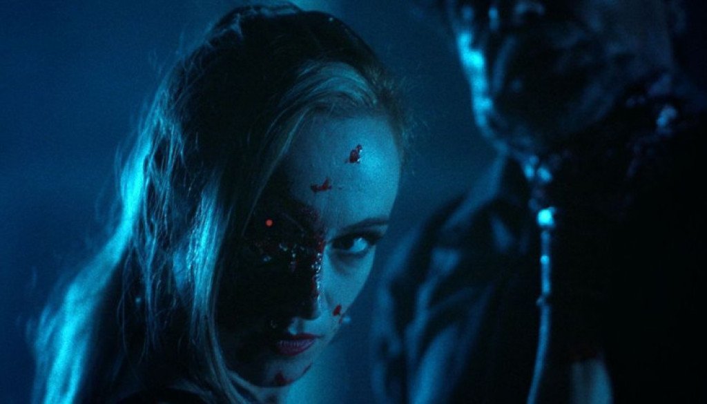 wp-17594202805646554159798412140877