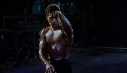 wp-17616568305383307076188822336704