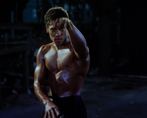 wp-17616568305383307076188822336704