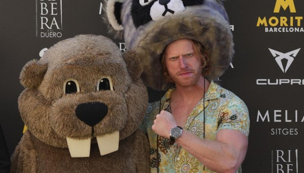 wp-17622059192011941483159819331645