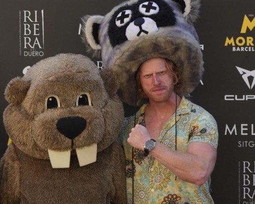 wp-17622059192011941483159819331645