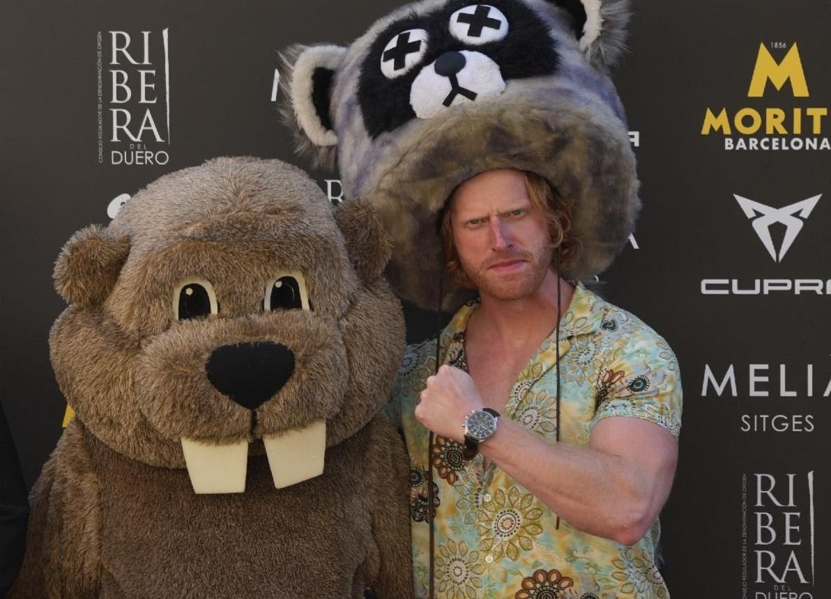 wp-17622059192011941483159819331645