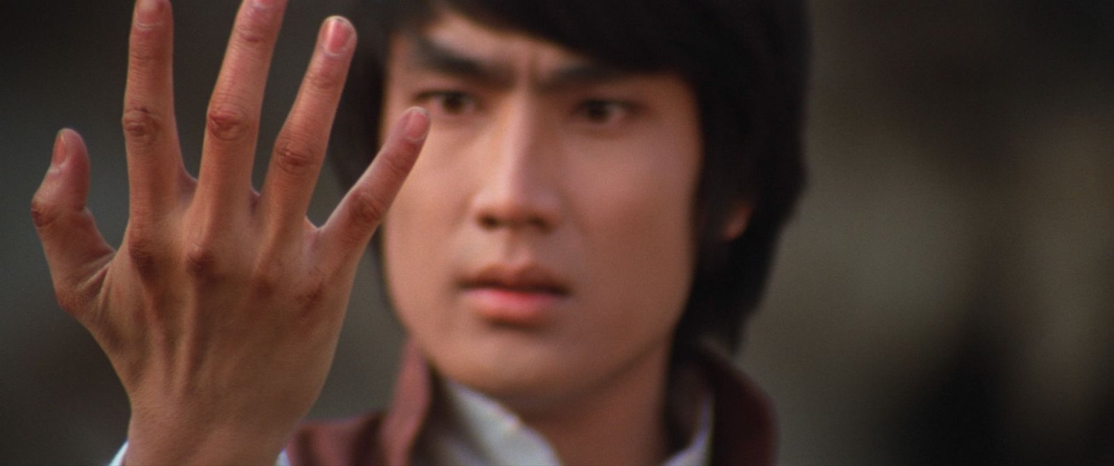 wp-17637614375715120331863372613372