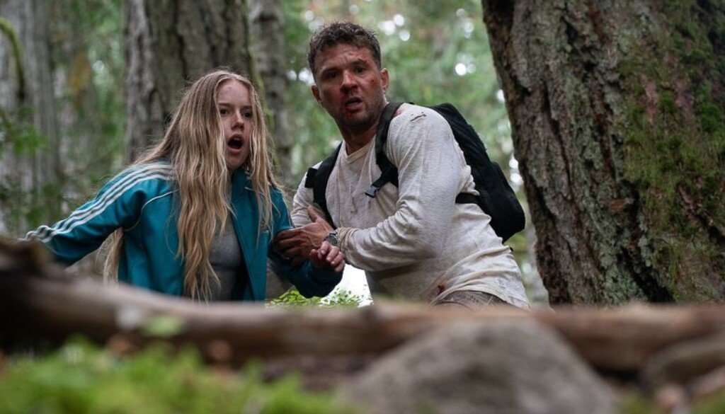 wp-17703177283192099918824642665843