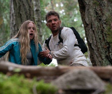 wp-17703177283192099918824642665843