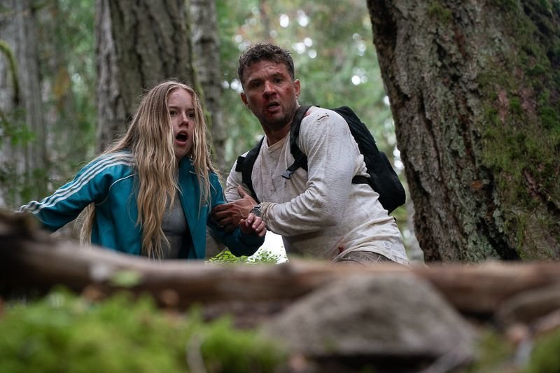 wp-17703177283192099918824642665843