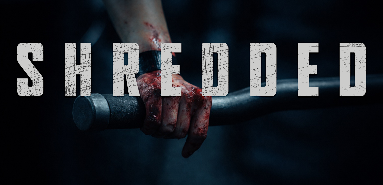 wp-1770672899746351676763218305839