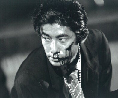 wp-17718772632912685308607862606179