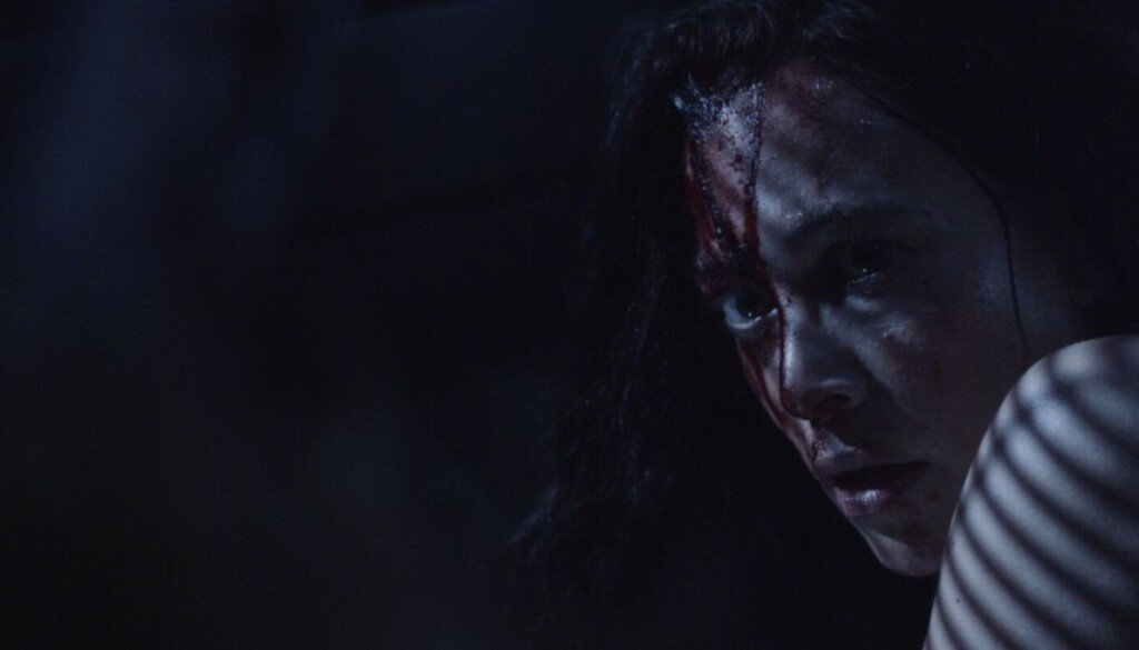 wp-17720556746261568187757722656946