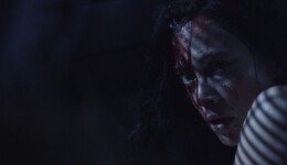 wp-17720556746261568187757722656946